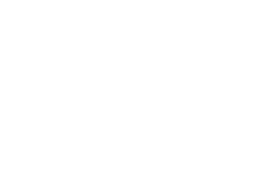 Real Vision Group